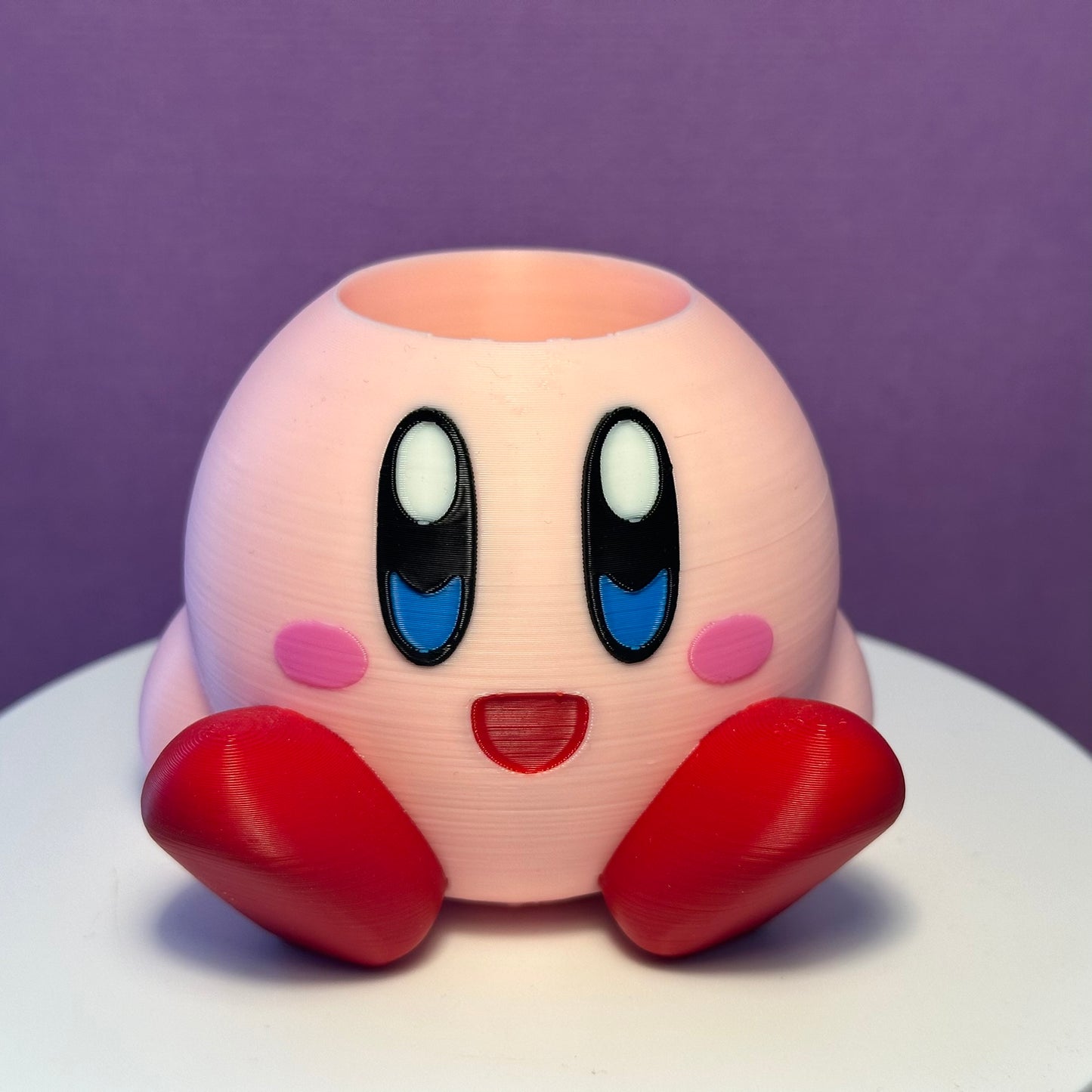 Kirby Indoor Flower Pot