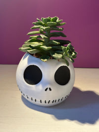 Pot de fleur Jack Skellington (L'étrange Noël de Monsieur Jack)